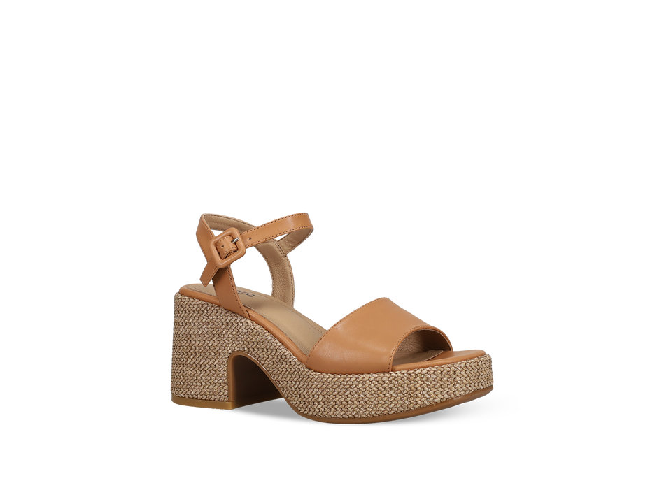Camel platform