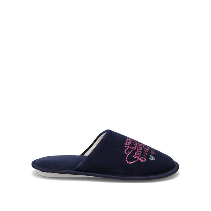 Blue slipper
