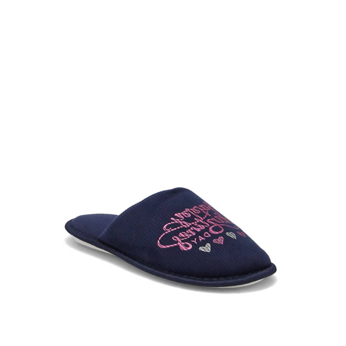Blue slipper