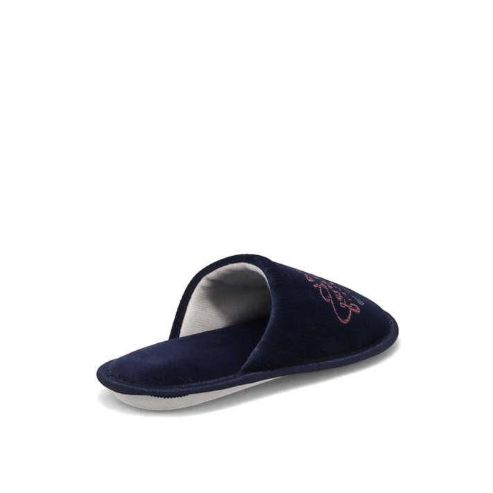 Blue slipper