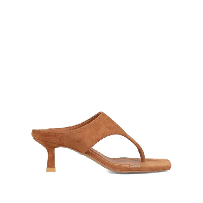 Καμηλό mule