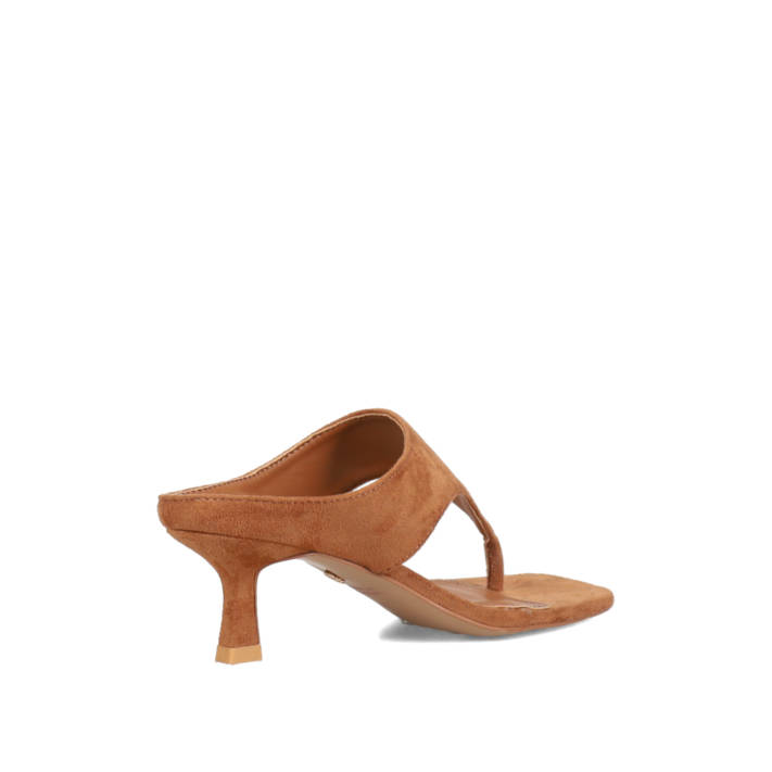 Καμηλό mule
