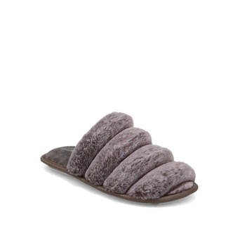 Grey slipper