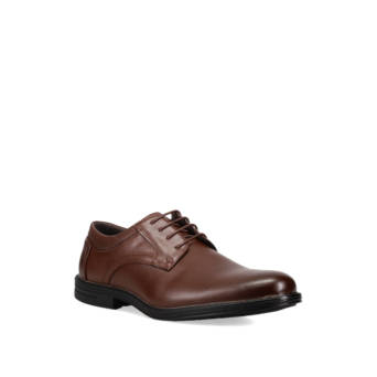 Men''s brown shoe derby
