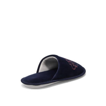Blue slipper