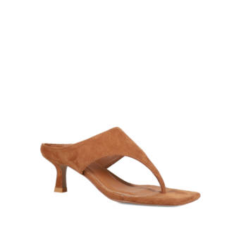 Camel mule