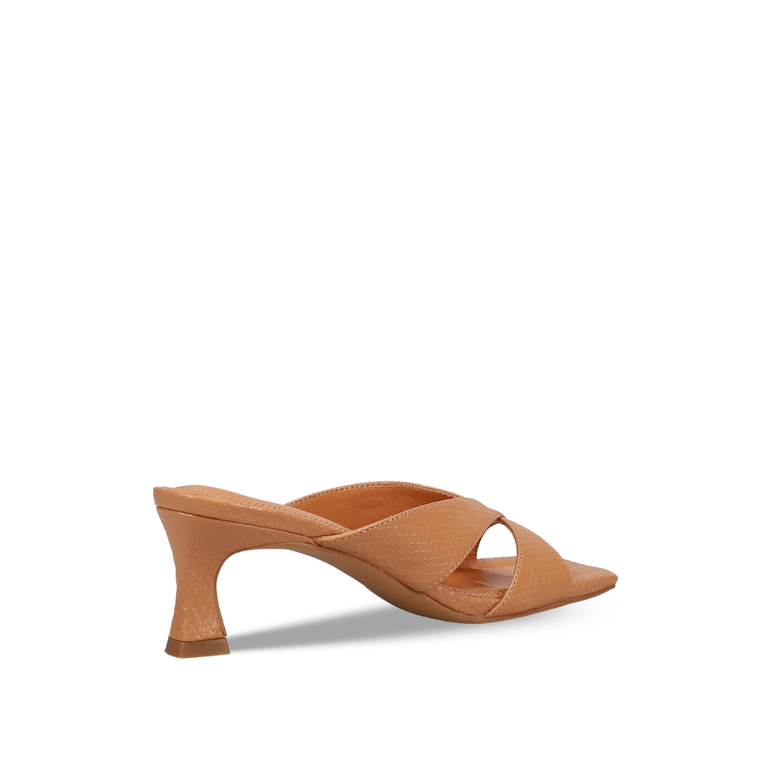 Καμηλό mule φωτογραφία