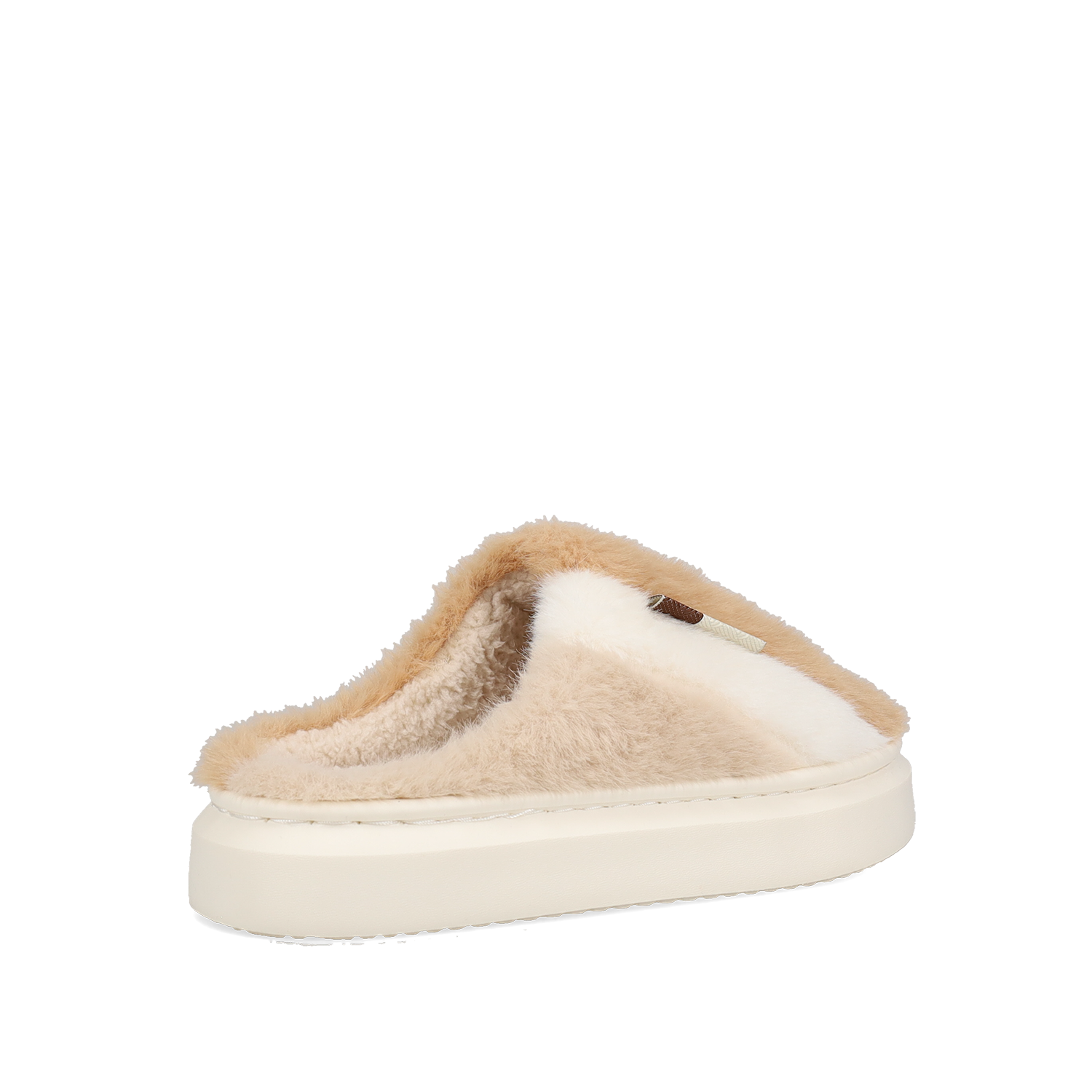 Καμηλό παντόφλα φωτογραφία