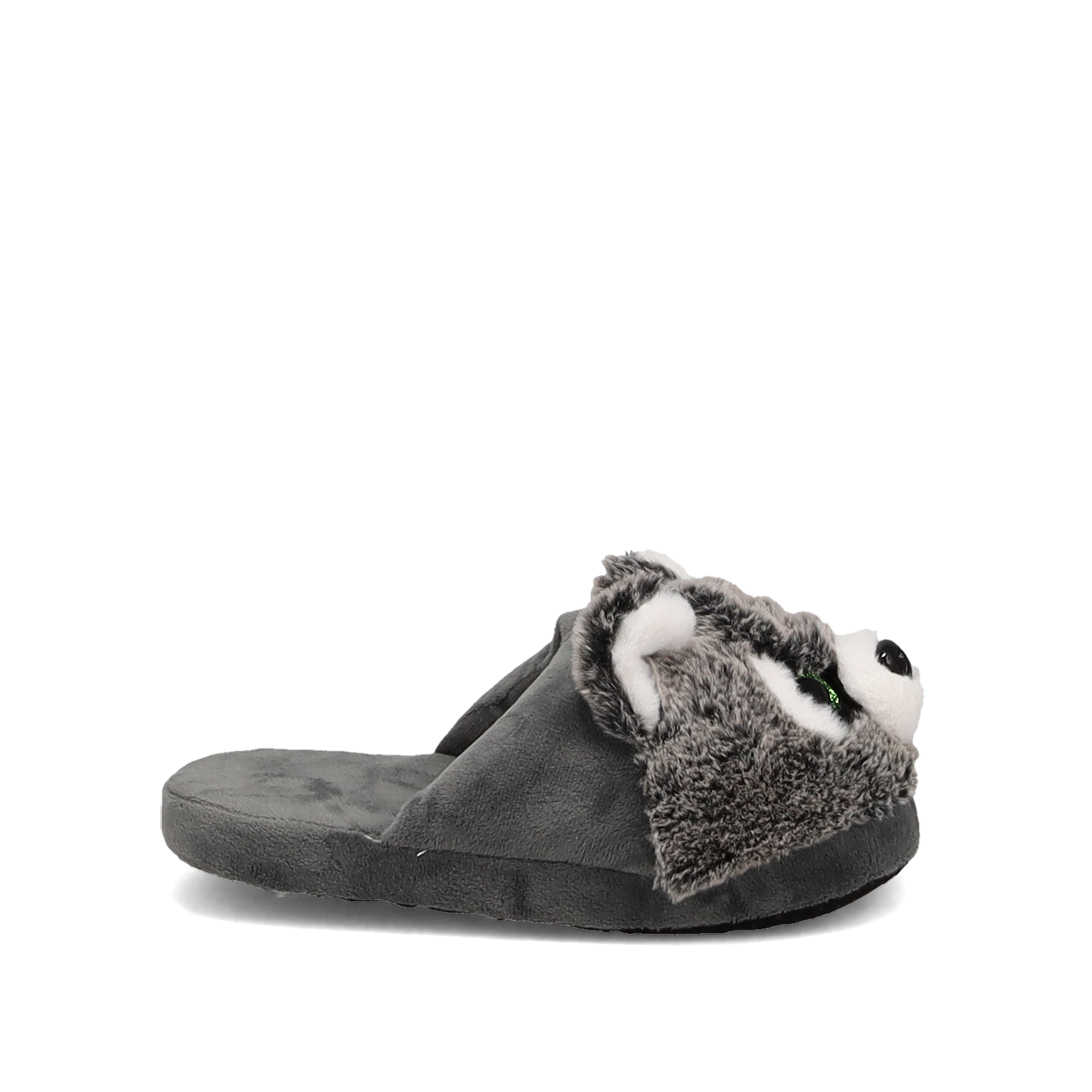 Γκρι παντόφλα ρακούν