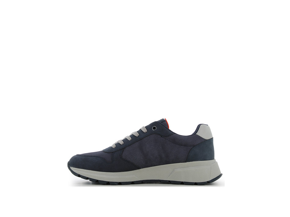 Navy blue sneaker