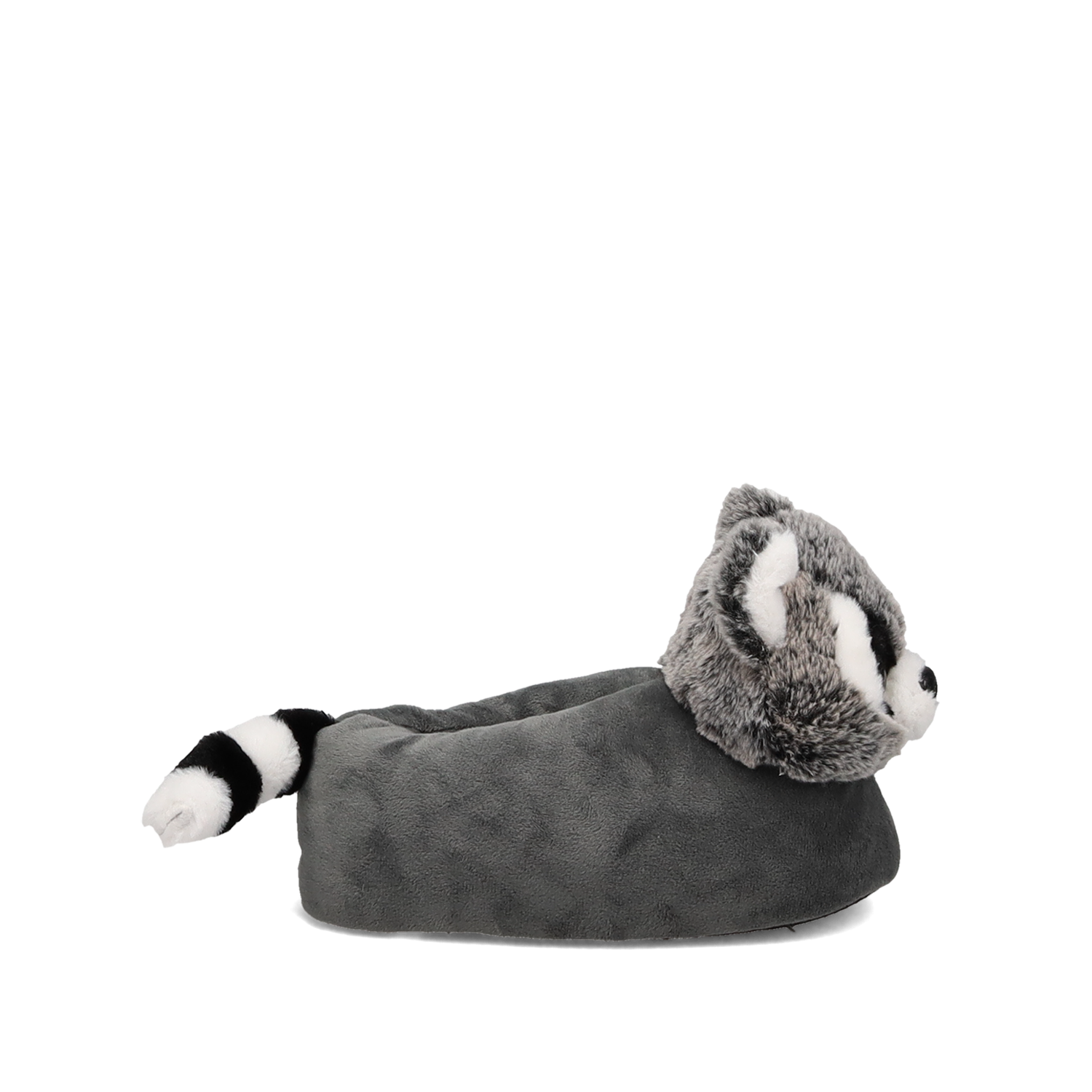 Γκρι παντόφλα ρακούν