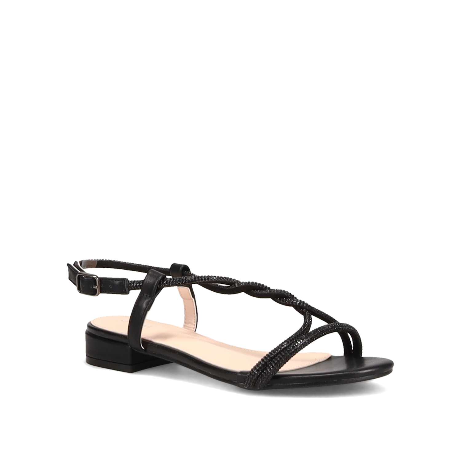 Μαύρο πέδιλο φωτογραφία